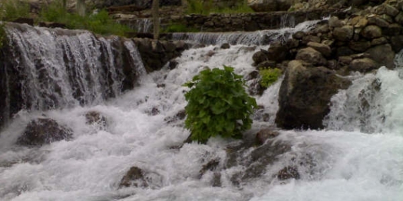 Halk suyun ruhuna inanıyorsa
