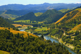 Whanganui-nehri