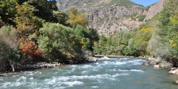 Munzur Gözeleri’nde Hukuk Kazandı: Yargı ‘Kesin Koruma’ Dedi