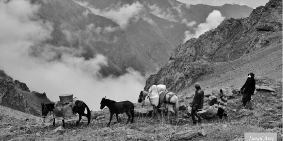 Yusuf Cengiz: Dersim’e bent vurma