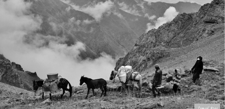 Yusuf Cengiz: Dersim’e bent vurma