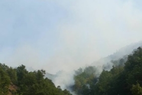 Dersim'de orman yangınları