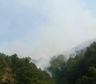 Dersim cayır cayır yanıyor
