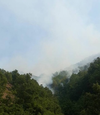 Dersim cayır cayır yanıyor