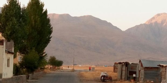 Dersim’den Gümüşhacıköy’e Ovacık’tan Seferihisar’a yerel tohumlar