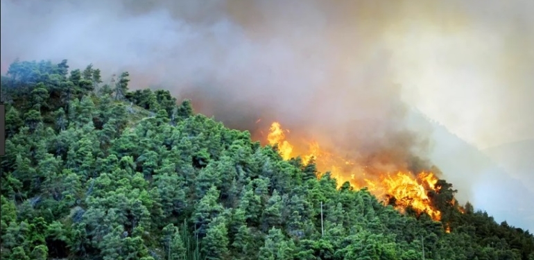 Ormanlarla birlikte tarihimiz de yakılıyor