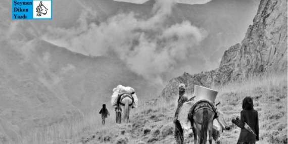Dersim Ya da Dersim