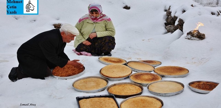 Hükümran İnsan Türcüdür Irkçıdır Cinsiyetçidir