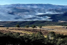 orman yangınları
