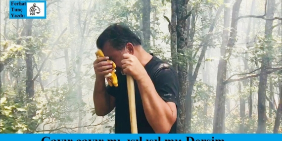 DD