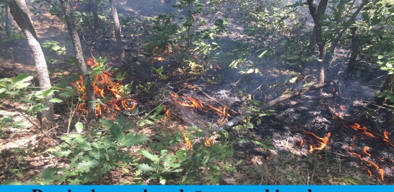 Dersimli Kurumları Doğasına Sahip Çıkıyor