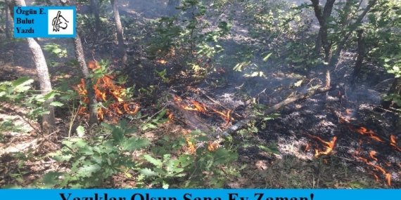 en