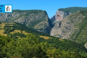 Adsız