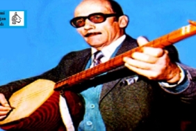 daimi doğan