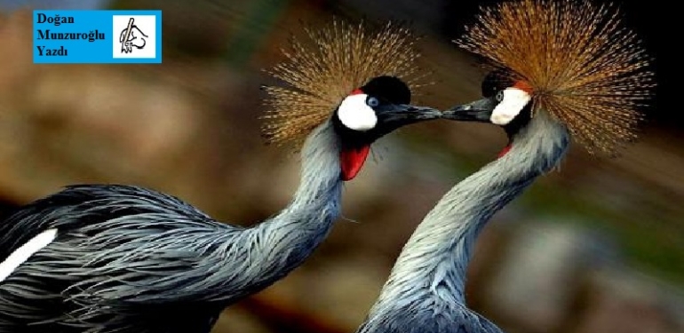 Online Kumarhanelerde Deneme Bonuslarının Oyun Deneyimine Etkisi