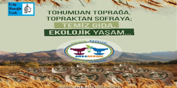 Bir Anka Kuşu hikâyesi