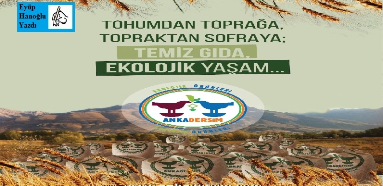 Bir Anka Kuşu hikâyesi