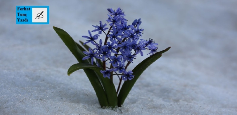 Umudu yeni yıla taşıyoruz