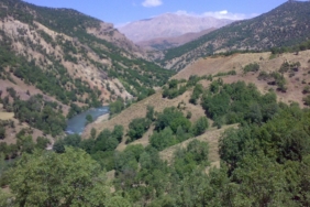 adısz