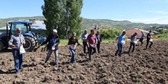 DERSİM’DE TARIM