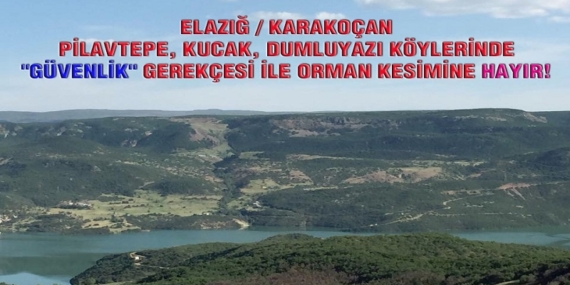 ”Karakoçan’da orman kesimine hayır!”