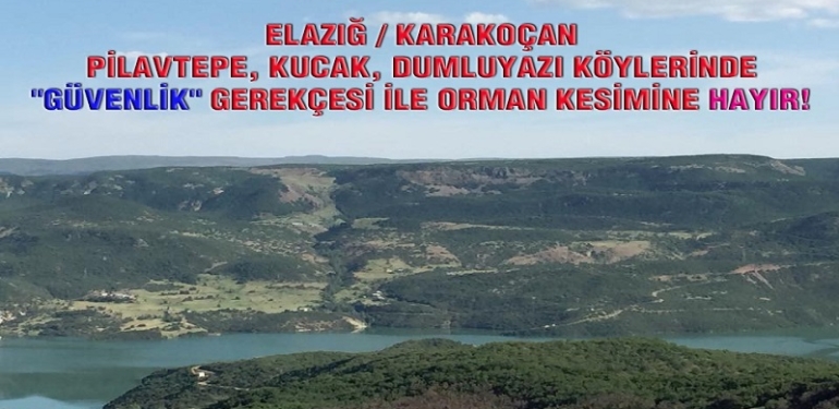 ”Karakoçan’da orman kesimine hayır!”