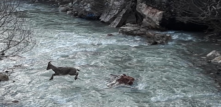 Dersim Su Karakterlidir