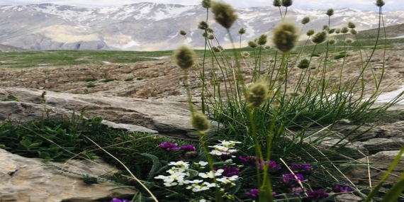 Bu fısıltısından kavimler geçiren yerimizde…
