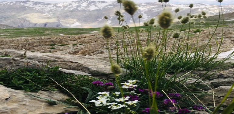 Bu fısıltısından kavimler geçiren yerimizde…