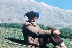 erdal 1