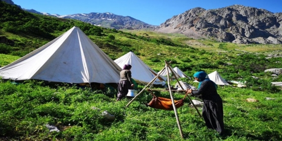 davayı sürdürmek ya da dağın başı vatandır