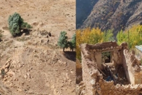 koye ser