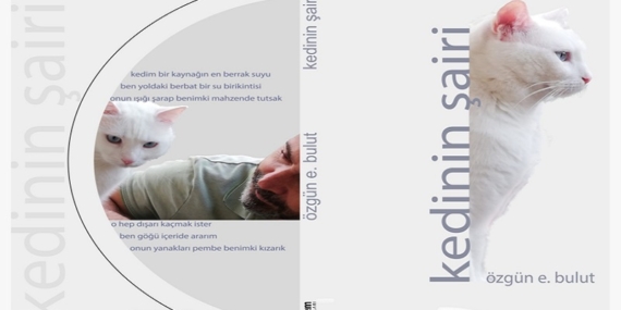 Varoluşun Anlamını Aralayan Kedinin Şairi