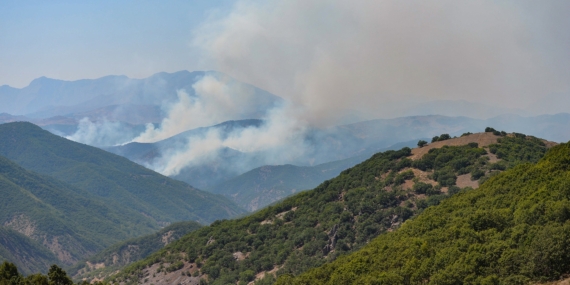 Dersim’de bir yıl içinde 23 orman yangını çıktı