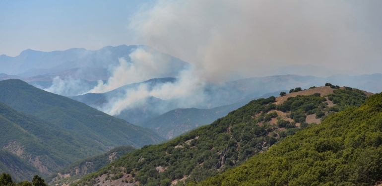 Dersim’de bir yıl içinde 23 orman yangını çıktı