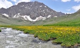 dersimmaden