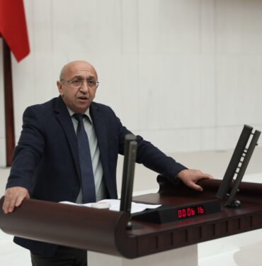 alican onlu