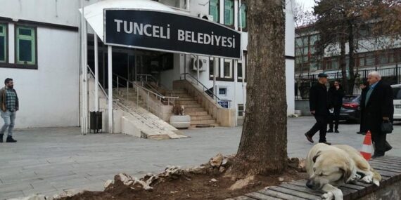 Belediyeden kuduz aşısı çalışması ve mama bağışı duyurusu