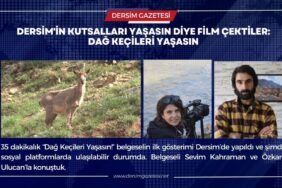dersim gazetesi manşet şablon