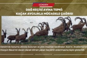 dersim gazetesi manşet şablon
