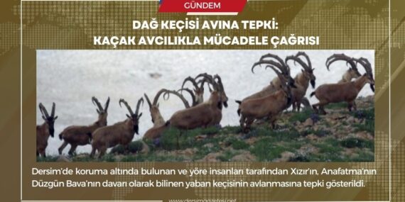 Dağ keçisi avına tepki: Kaçak avcılıkla mücadele çağrısı