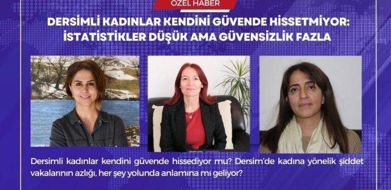 Dersimli kadınlar kendini güvende hissetmiyor: İstatistikler düşük ama güvensizlik fazla