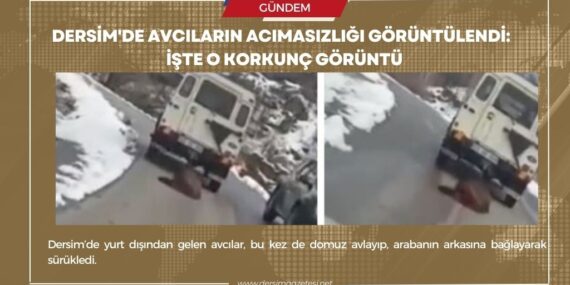 Dersim’de avcıların acımasızlığı görüntülendi: İşte o korkunç görüntü