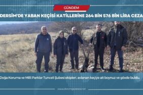 yaban kecisi ceza