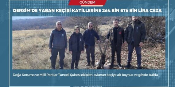 Dersim’de yaban keçisi katillerine 264 bin 576 bin lira para cezası