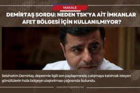 demirtas mansettt