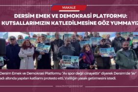 demokrasi platformu manset