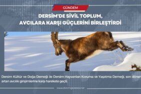 dersim gazetesi manşet şablon Kopyası