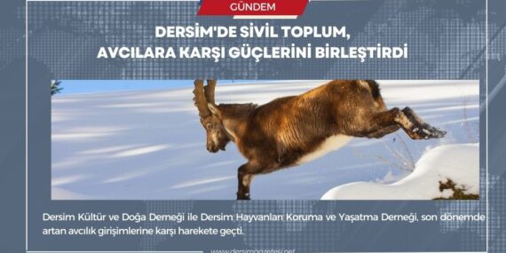 Dersim’de sivil toplum avcılara karşı güçlerini birleştirdi
