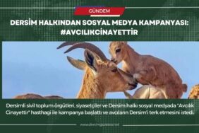 dersim kampanya manset